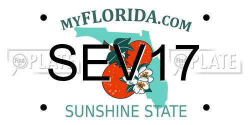 SEV17 Florida License Plate