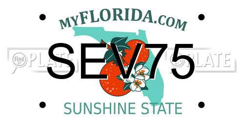 SEV75 Florida License Plate