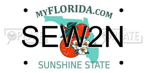 SEW2N Florida License Plate