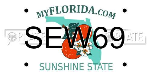 SEW69 Florida License Plate