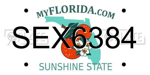 SEX6384 Florida License Plate