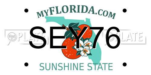 SEY76 Florida License Plate