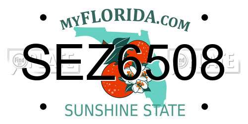 SEZ6508 Florida License Plate