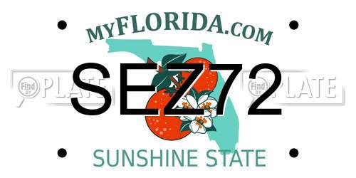 SEZ72 Florida License Plate
