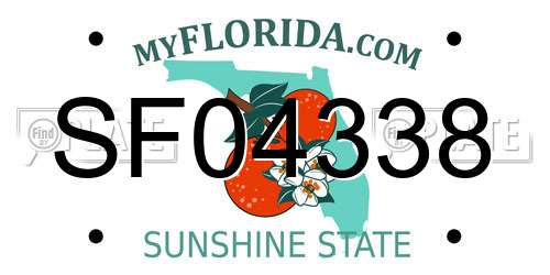 SF04338 Florida License Plate