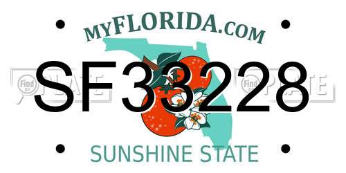 SF33228 Florida License Plate