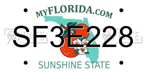 SF3E228 Florida License Plate