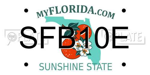 SFB10E Florida License Plate