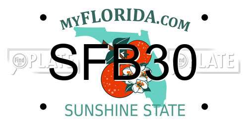 SFB30 Florida License Plate