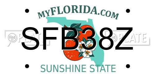 SFB38Z Florida License Plate