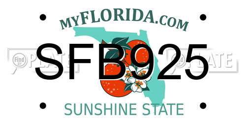 SFB925 Florida License Plate