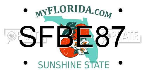 SFBE87 Florida License Plate