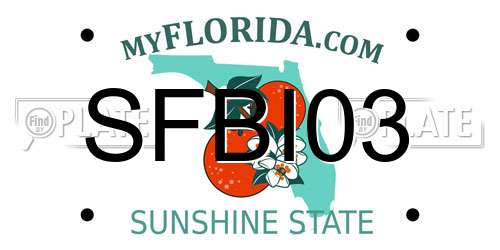 SFBI03 Florida License Plate