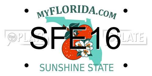 SFE16 Florida License Plate
