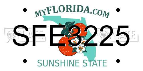 SFE3225 Florida License Plate