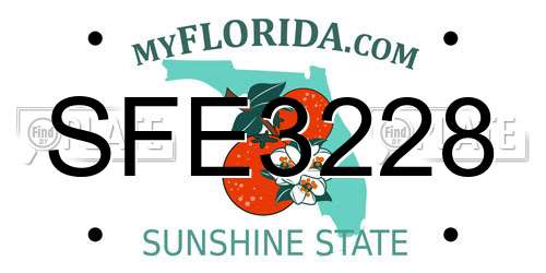 SFE3228 Florida License Plate