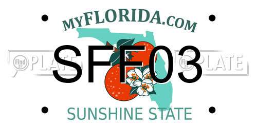 SFF03 Florida License Plate