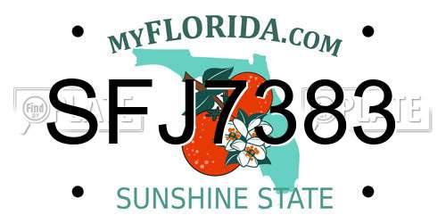 SFJ7383 Florida License Plate