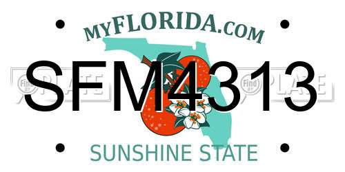 SFM4313 Florida License Plate