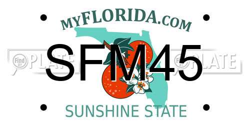 SFM45 Florida License Plate