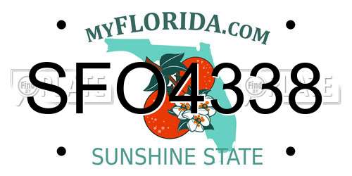 SFO4338 Florida License Plate