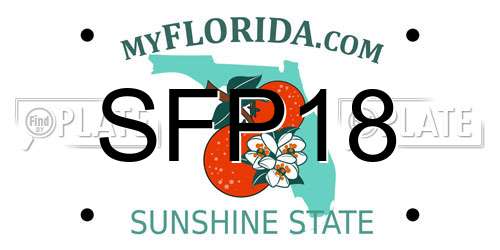 SFP18 Florida License Plate