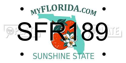 SFR189 Florida License Plate