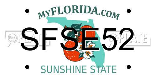 SFSE52 Florida License Plate