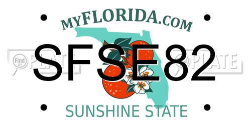 SFSE82 Florida License Plate
