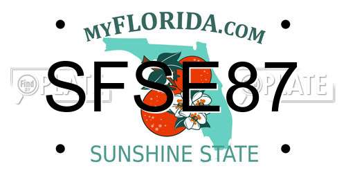 SFSE87 Florida License Plate