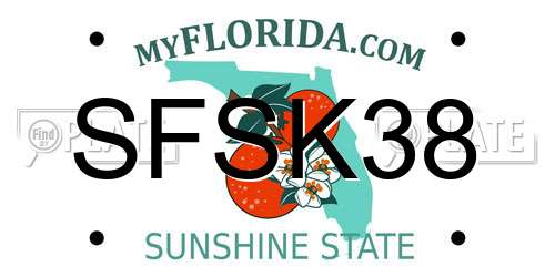 SFSK38 Florida License Plate