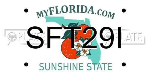 SFT29I Florida License Plate