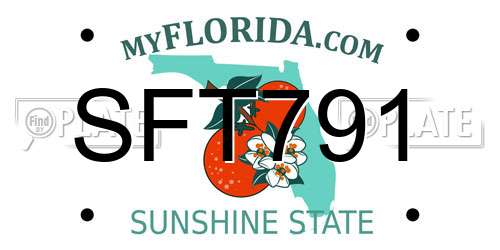 SFT791 Florida License Plate