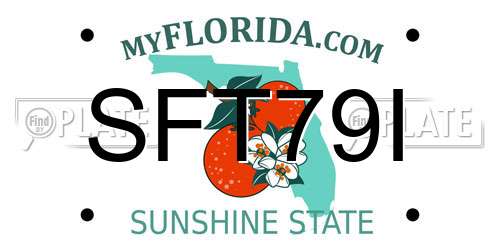 SFT79I Florida License Plate