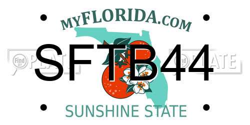 SFTB44 Florida License Plate