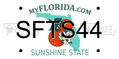 SFTS44 Florida License Plate