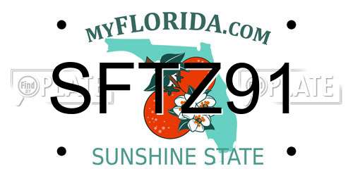 SFTZ91 Florida License Plate