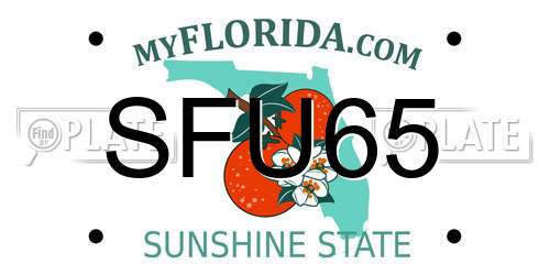 SFU65 Florida License Plate