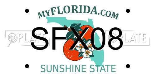 SFX08 Florida License Plate