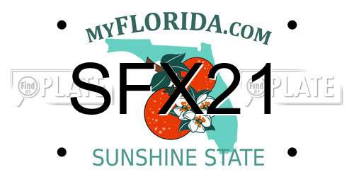 SFX21 Florida License Plate