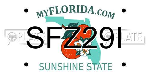 SFZ29I Florida License Plate