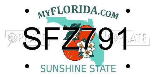 SFZ791 Florida License Plate