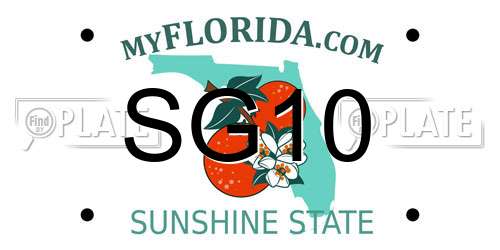 SG10 Florida License Plate