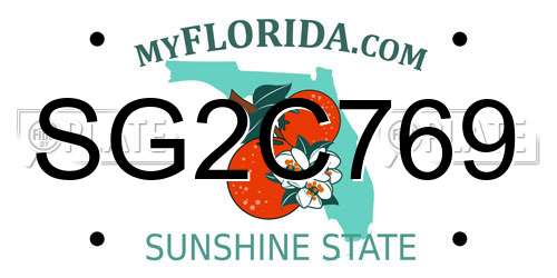 SG2C769 Florida License Plate
