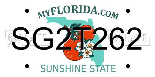 SG2T262 Florida License Plate