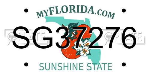 SG37276 Florida License Plate