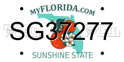 SG37277 Florida License Plate