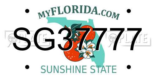 SG37777 Florida License Plate
