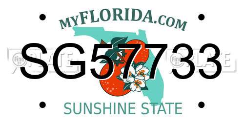 SG57733 Florida License Plate