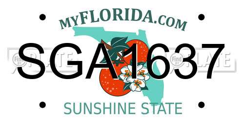 SGA1637 Florida License Plate